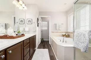 2087 Coach House Loop, Castle Rock, CO 80109 - Photo 24