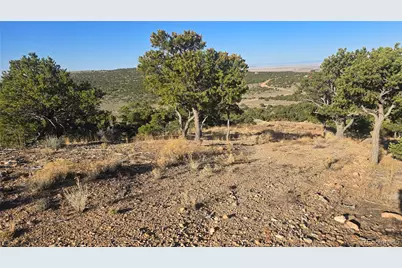 Lot 3859 Murray Road, Fort Garland, CO 81133 - Photo 2