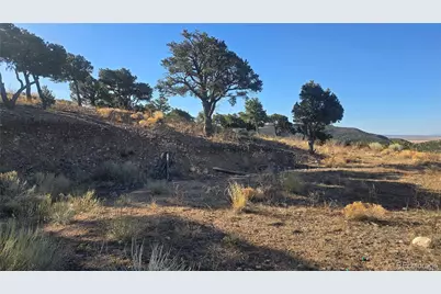 Lot 3859 Murray Road, Fort Garland, CO 81133 - Photo 16