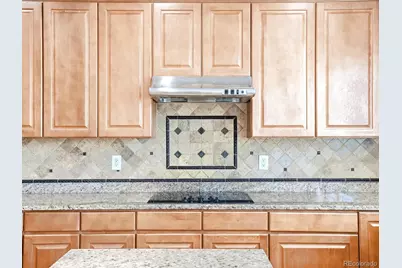 12560 Bradford Drive, Parker, CO 80134 - Photo 20