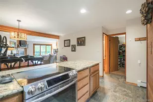 9460 Ryan Gulch Rd, Silverthorne, CO 80498 - Photo 6