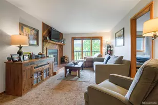 9460 Ryan Gulch Rd, Silverthorne, CO 80498 - Photo 10