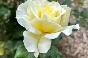 2332 N Glencoe St, Denver, CO 80207 - Photo 26