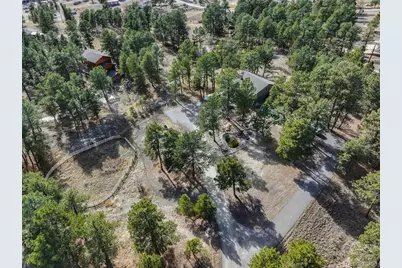 12745 Antelope Trail, Parker, CO 80138 - Photo 46