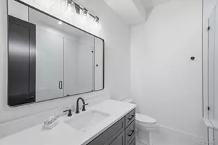 2442 S St Paul St, Denver, CO 80210 - Photo 46
