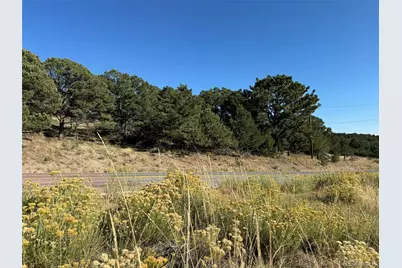 Lot 50 Copper Gultch Road, Cotopaxi, CO 81223 - Photo 4