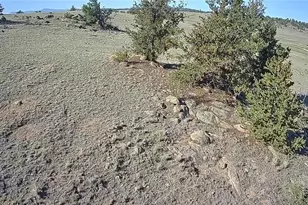 514 Walls St, Hartsel, CO 80449 - Photo 1