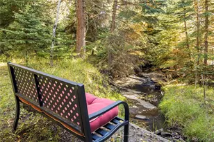 32217 Buffalo Park Rd, Evergreen, CO 80439 - Photo 4