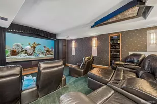 1505 Stonehill Ct, Castle Rock, CO 80104 - Photo 38