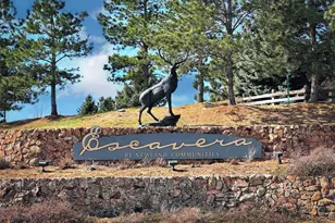 1505 Stonehill Ct, Castle Rock, CO 80104 - Photo 44