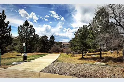 1505 Stonehill Court, Castle Rock, CO 80104 - Photo 48