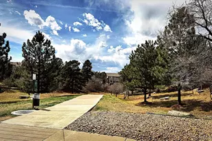 1505 Stonehill Ct, Castle Rock, CO 80104 - Photo 48