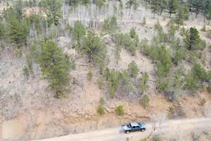 397 Neish St, Bailey, CO 80421 - Photo 1