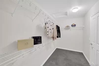 10849 Huntwick Street, Highlands Ranch, CO 80130 - Photo 24