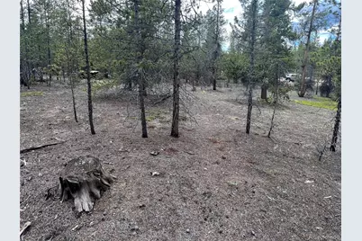 284 Fir Drive, Twin Lakes, CO 80461 - Photo 2