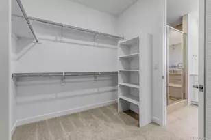 4001 Buttongrass Trail, Castle Rock, CO 80108 - Photo 8