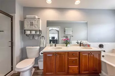 1234 Carlyle Park Circle, Highlands Ranch, CO 80129 - Photo 26