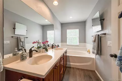 1234 Carlyle Park Circle, Highlands Ranch, CO 80129 - Photo 28