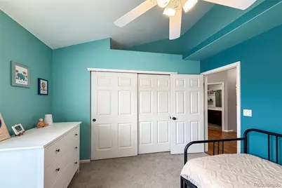 1234 Carlyle Park Circle, Highlands Ranch, CO 80129 - Photo 30