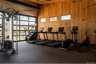 295 Lovejoy Circle, Castle Rock, CO 80104 - Photo 36