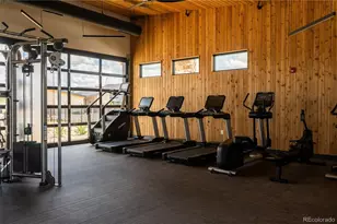 295 Lovejoy Cir, Castle Rock, CO 80104 - Photo 36