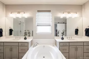 295 Lovejoy Cir, Castle Rock, CO 80104 - Photo 18