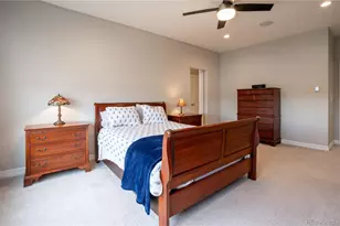 295 Lovejoy Cir, Castle Rock, CO 80104 - Photo 16