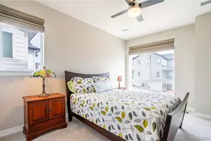 295 Lovejoy Cir, Castle Rock, CO 80104 - Photo 20