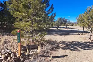 247 Maricopa Trail, Hartsel, CO 80449 - Photo 1
