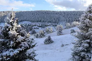 568 Ridgeside Dr, Golden, CO 80401 - Photo 42