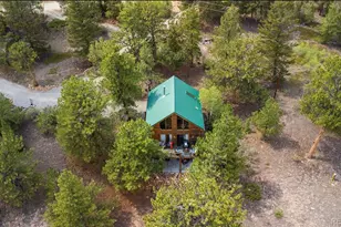 2578 Redhill Rd, Fairplay, CO 80440 - Photo 8