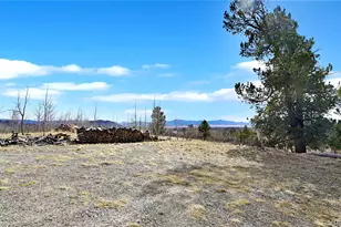 259 Falcon Rd, Como, CO 80432 - Photo 32