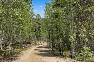2602 Empire Valley Dr, Leadville, CO 80461 - Photo 30