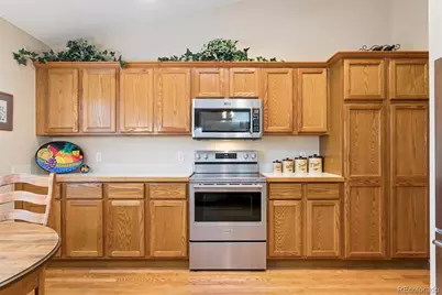 978 Sage Sparrow Circle, Highlands Ranch, CO 80129 - Photo 12