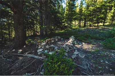 5347 Monitor, Leadville, CO 80461 - Photo 24
