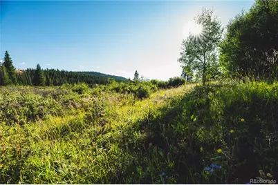 5347 Monitor, Leadville, CO 80461 - Photo 8