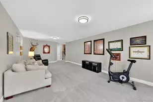 6685 Bright Water Trail, Littleton, CO 80125 - Photo 26