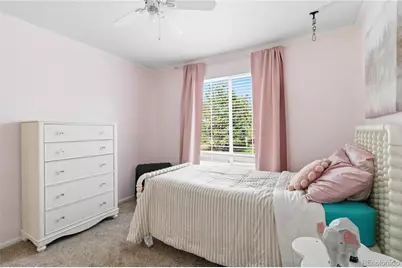 10306 Mica Way, Parker, CO 80134 - Photo 28