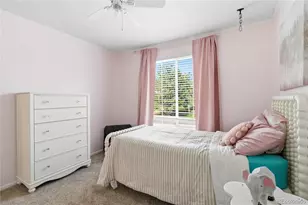 10306 Mica Way, Parker, CO 80134 - Photo 28