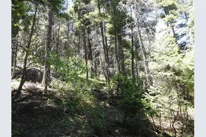 13175 Spruce Creek Circle, Larkspur, CO 80118 - Photo 16