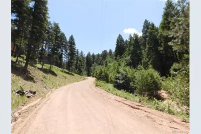 13175 Spruce Creek Circle, Larkspur, CO 80118 - Photo 2