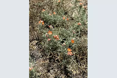 22960 Black Hills Drive, Trinidad, CO 81082 - Photo 20