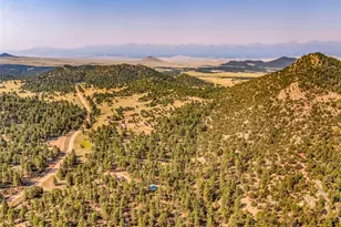 7073 Co Rd 255, Westcliffe, CO 81252 - Photo 42