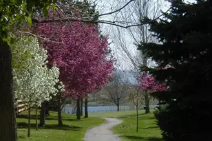 7771 S Curtice Dr, Littleton, CO 80120 - Photo 32