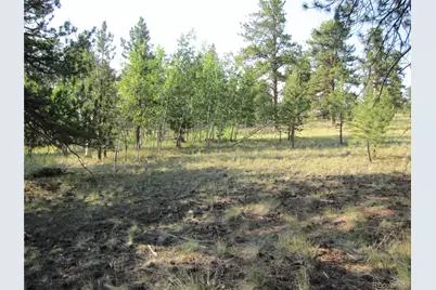 9736 Ranch Road, Hartsel, CO 80449 - Photo 10