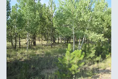 9736 Ranch Road, Hartsel, CO 80449 - Photo 24