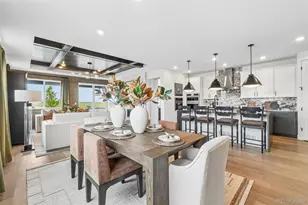 13564 Solaris St, Parker, CO 80134 - Photo 10
