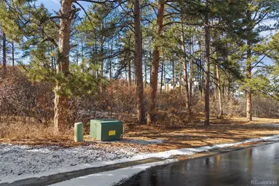1830 Via Los Pinon, Castle Rock, CO 80104 - Photo 26