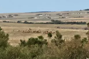 28242 Stone Horse Ranch Rd, Elizabeth, CO 80107 - Photo 20