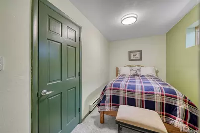 143 Elk Road, Leadville, CO 80461 - Photo 18